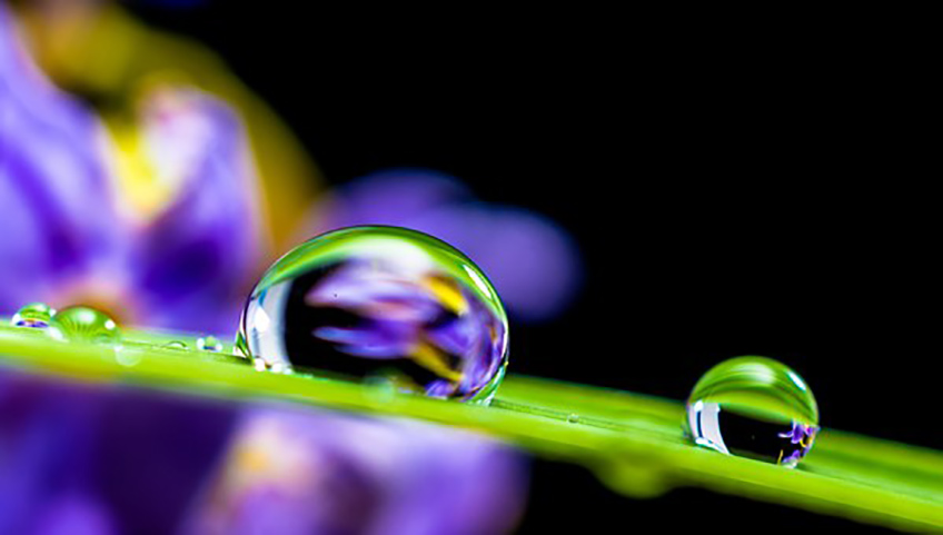drops of water 
