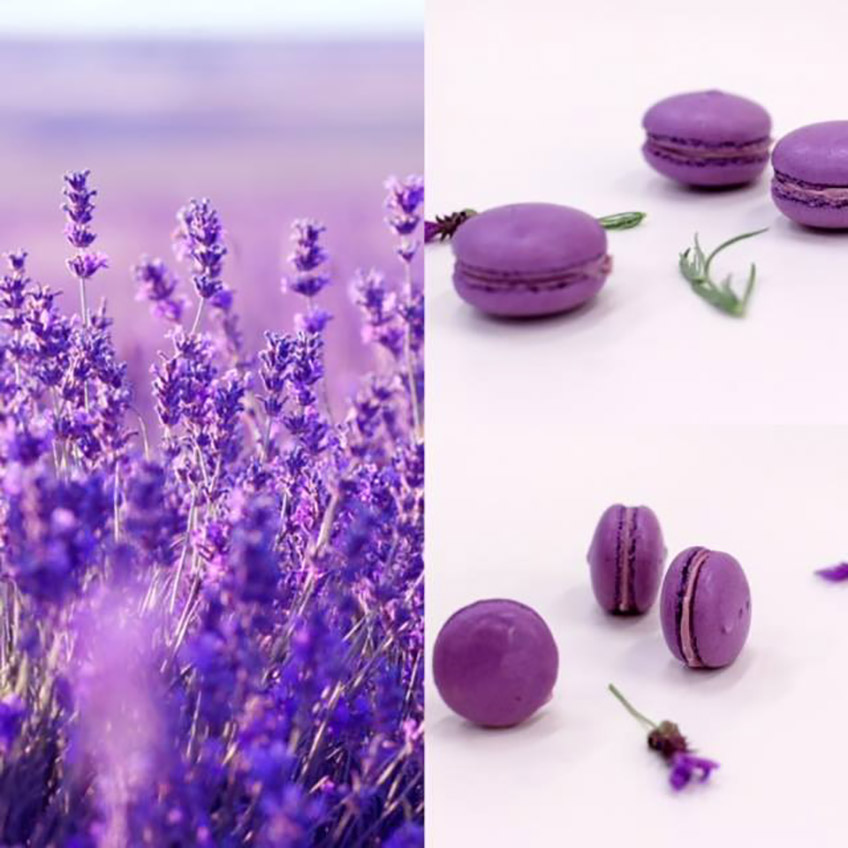 purple lavender macarons